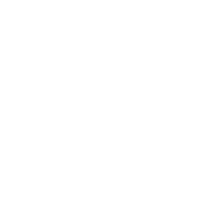 Finnet